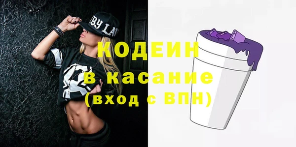 гашик Алексин