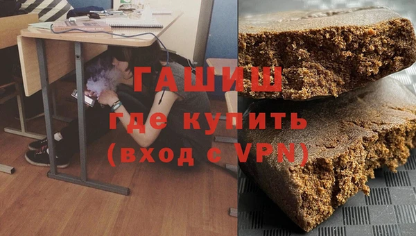 гашик Алексин