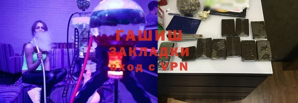 гашик Алексин