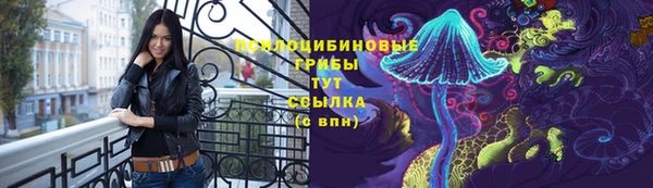 гашик Алексин