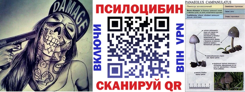 хочу наркоту  Белгород  Галлюциногенные грибы мухоморы 