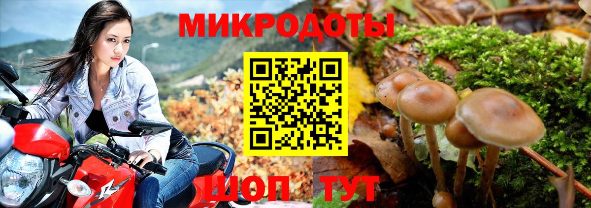 Псилоцибиновые грибы GOLDEN TEACHER Белгород